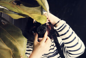 Creative Photographers in Melbourne