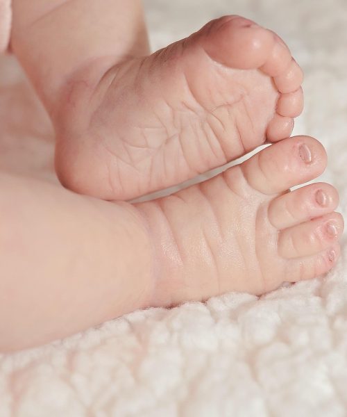 feet-948631_1280